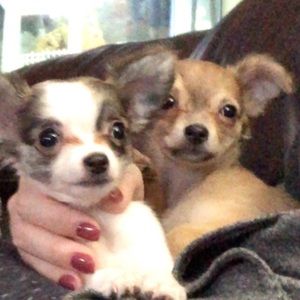 Meet your Posher, Aimee